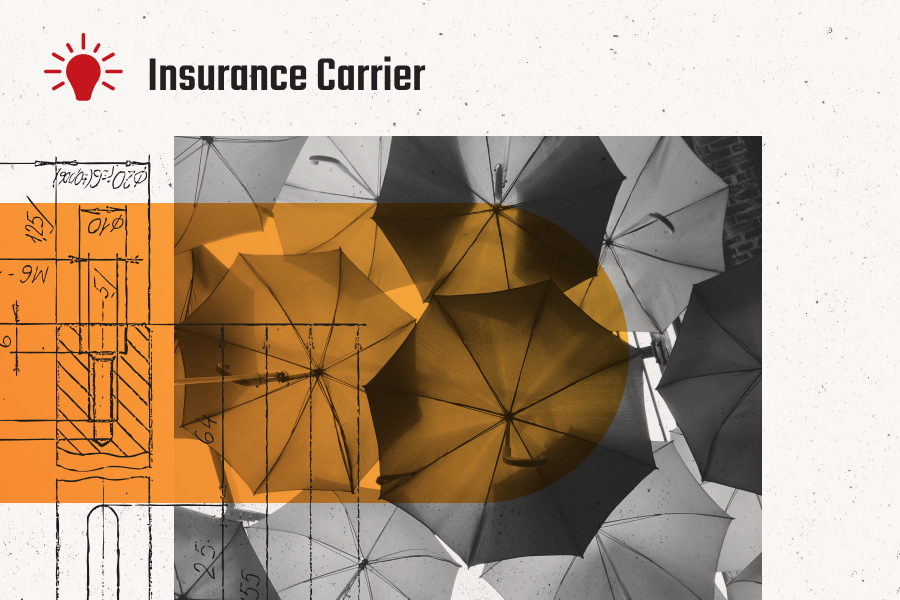 Fortune 100 Life Insurance Carrier: Process Standardization and Automation Rapidly Boost Employee Productivity and Policyholder Experience