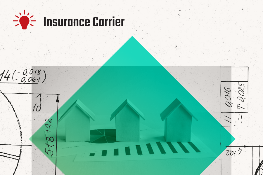 Insurance Carrier: Claims Leakage & Processing Efficiency Improvement with Deep Standardization, Analytics & Automation